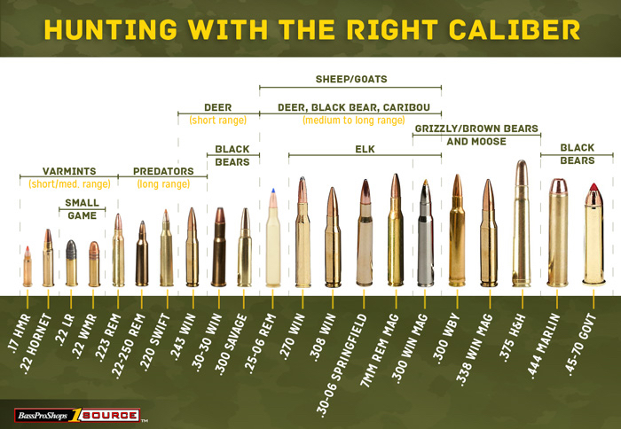 Rifle Ammo Selection Guide - Bass Pro